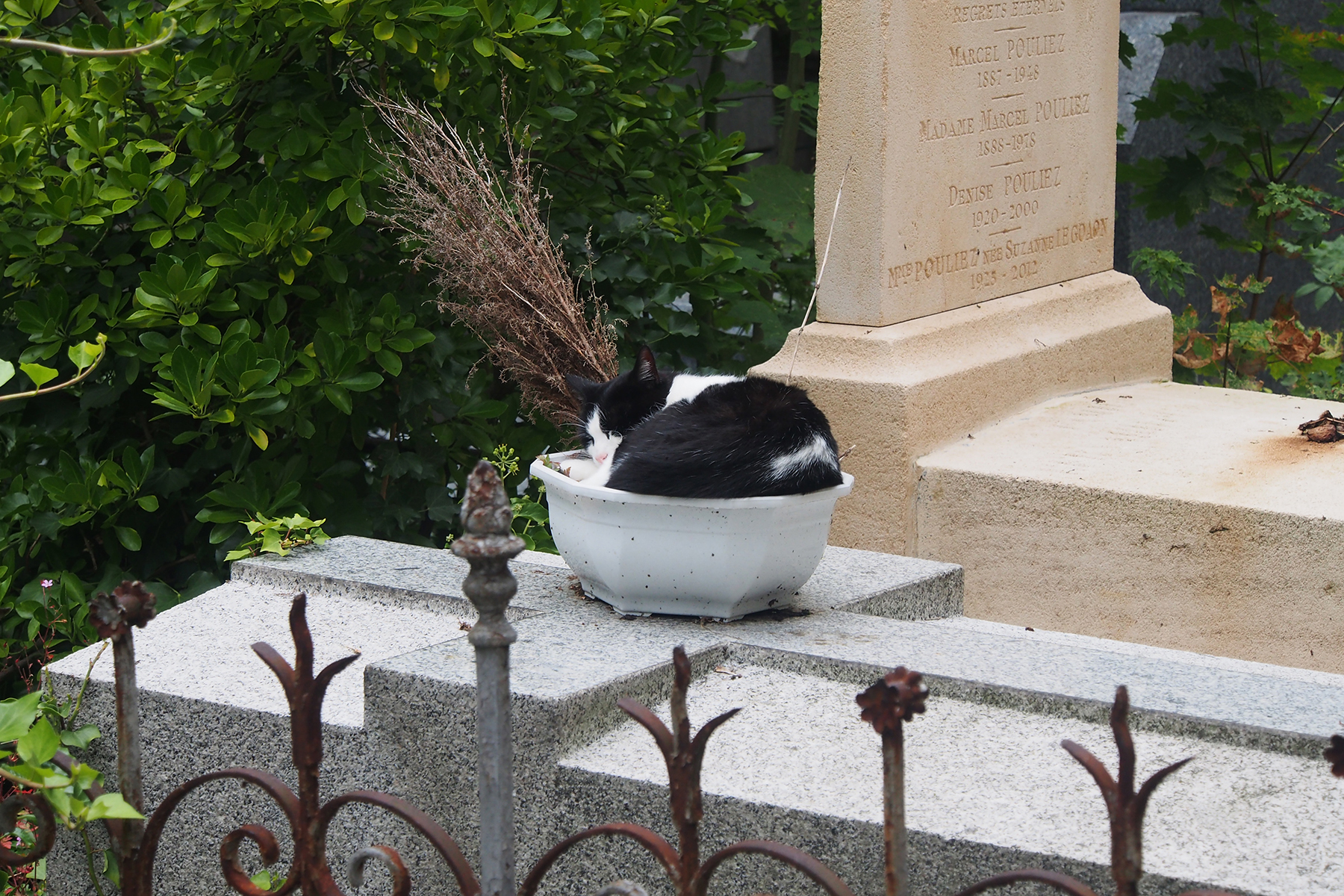 PereLachaise_09_1800x1200